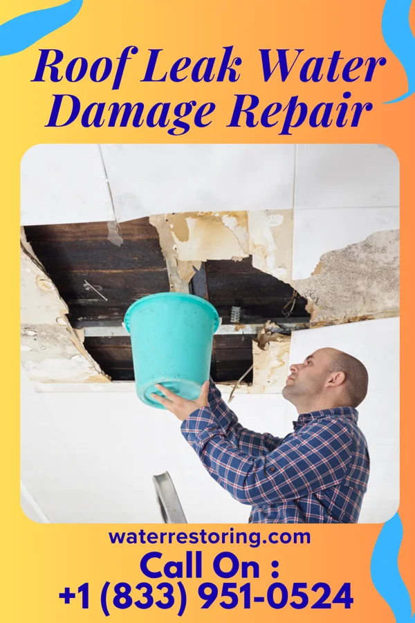 Roof Leak Water Damage Repair in Miguel Barrera, TX